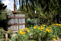 081004_Cline_043