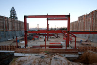 20090130