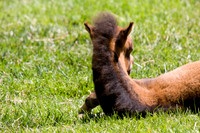 080808_POTN_026