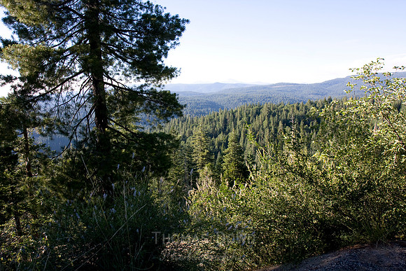 080704_4thofJuly_365