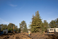 081017_NVC_020