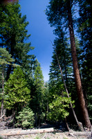 Butte County