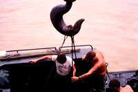 VietNam073