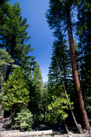Butte County