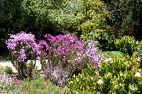 090425_POTN_310