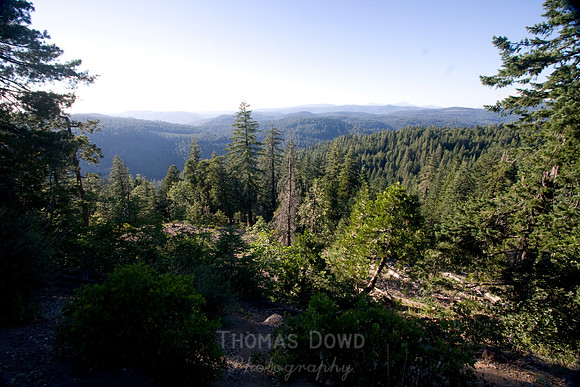 080704_4thofJuly_367