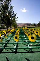 081004_Cline_068