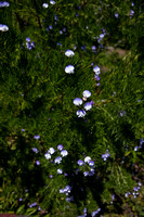 090425_POTN_302