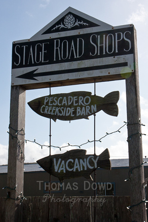 120121_Pescadero_0249