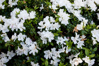 090425_POTN_146
