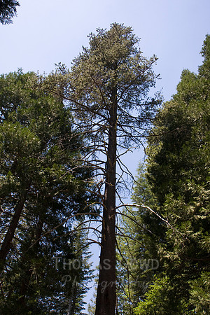 080704_4thofJuly_092