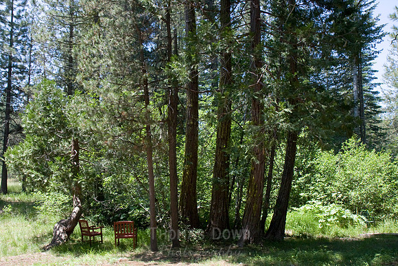 080704_4thofJuly_093