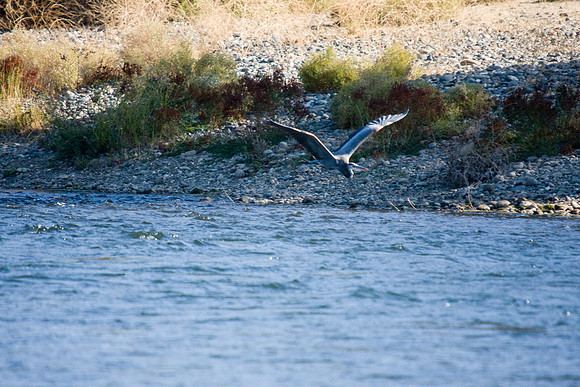 081011_POTN_CA_6_092