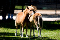 080808_POTN_051