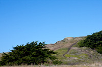 120121_Pescadero_0213