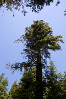 080704_4thofJuly_162