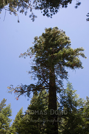 080704_4thofJuly_162