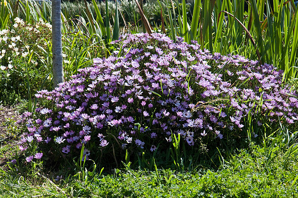 090425_POTN_112