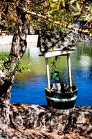 081004_Cline_039