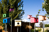 081004_Cline_064