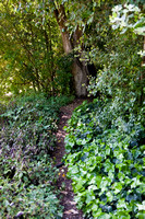 090425_POTN_299
