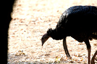 081011_POTN_CA_6_005