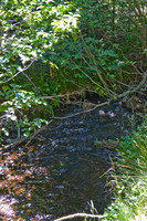 080704_4thofJuly_302