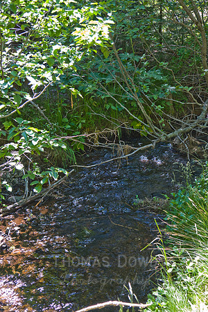 080704_4thofJuly_302