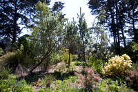 090425_POTN_300