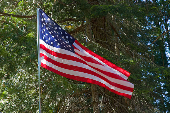 080704_4thofJuly_313