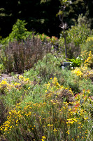 090425_POTN_295