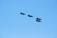 090418_Beal_151