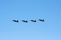 090418_Beal_168