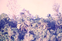 VietNam017