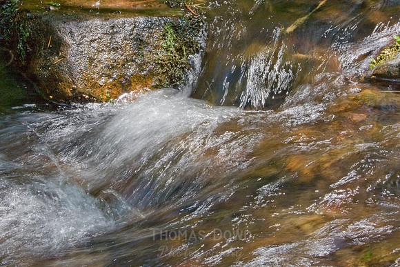 080704_4thofJuly_133