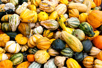 101017_PumpkinPatch_0050