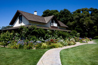 California#5