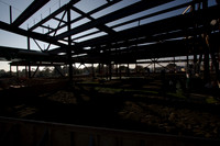 081204_NVC_078