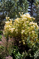 090425_POTN_312