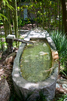 Japanese Tea Garden