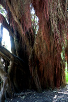 090425_POTN_285